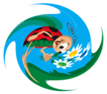 Coxytour.gif (300481 octets)
